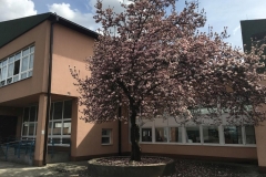 277573716_656715581985411_3211116209846942105_n